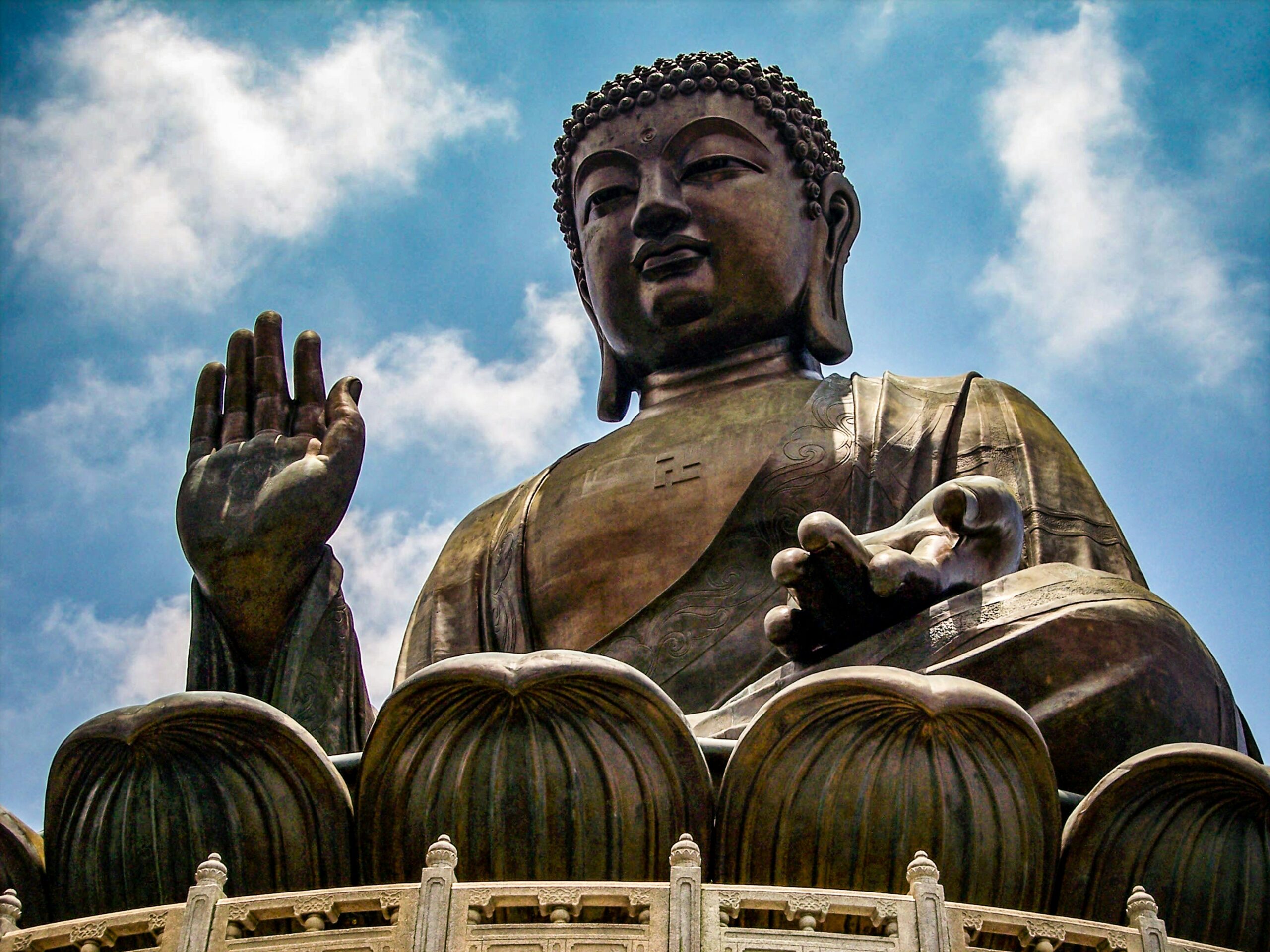 The Story of Traditional Chinese Medicine