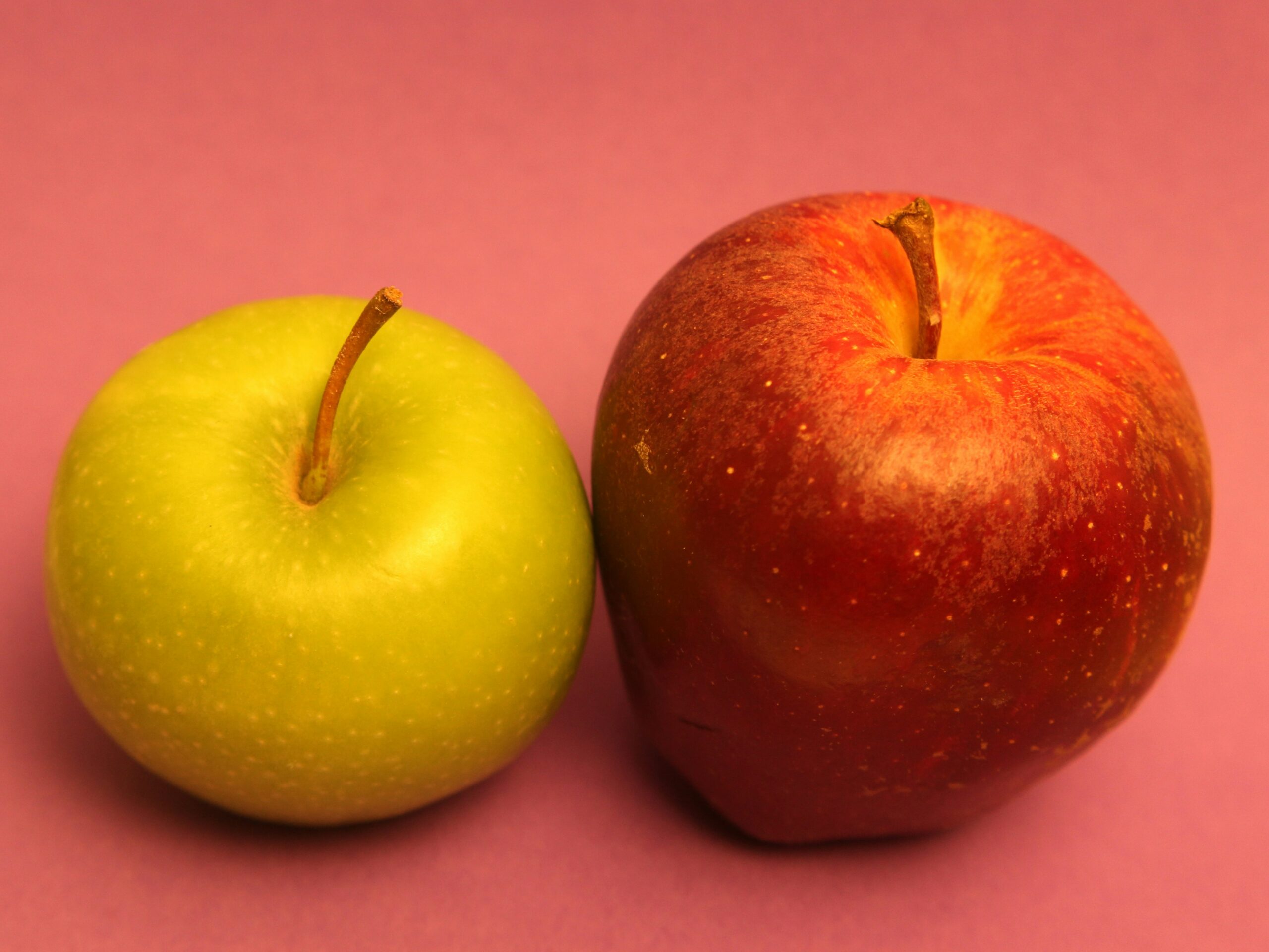 Does a multi-disciplinary team cover the same as a holistic approach team does?